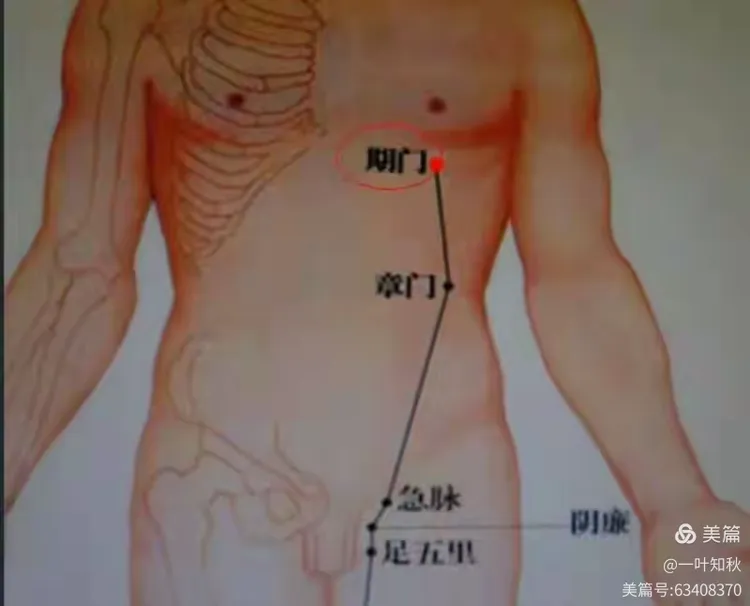 期门穴